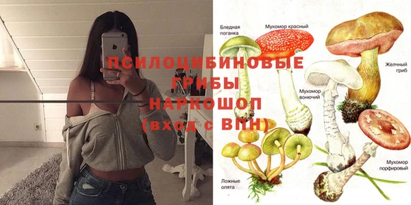 твердый Балабаново