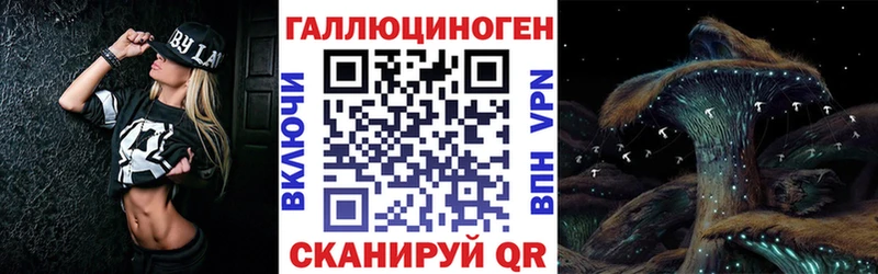 Псилоцибиновые грибы Psilocybine cubensis  Чегем 